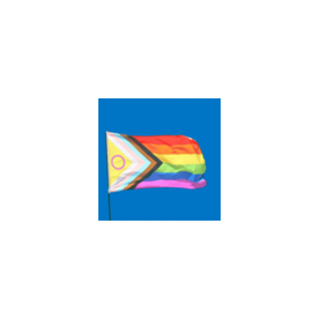 Diverse Sexes, Sexualities and Genders - Allies Welcome Group Meeting - 7/8/26